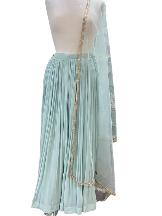 Georgette Pleated Sharara with Net Dupatta Duck Egg