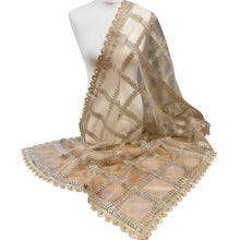  Gold Antique Net Dupatta