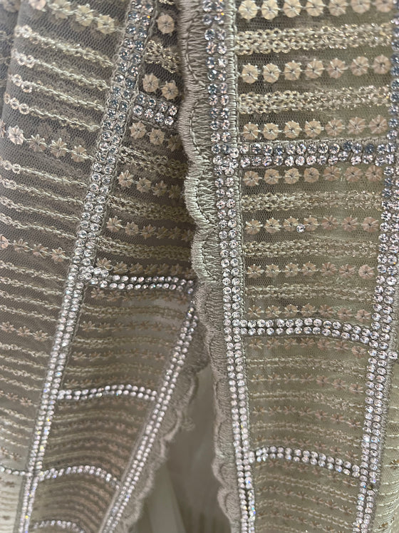 Sage Embroidered Net Sari