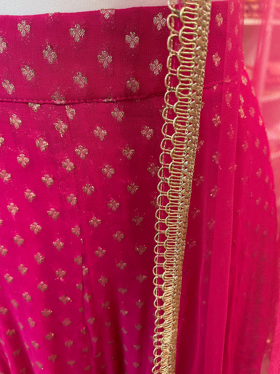 Banarsi Georgette Skirt with Net Dupatta Pink