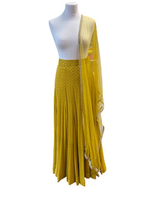  Banarsi Georgette Skirt with Net Dupatta Mustard