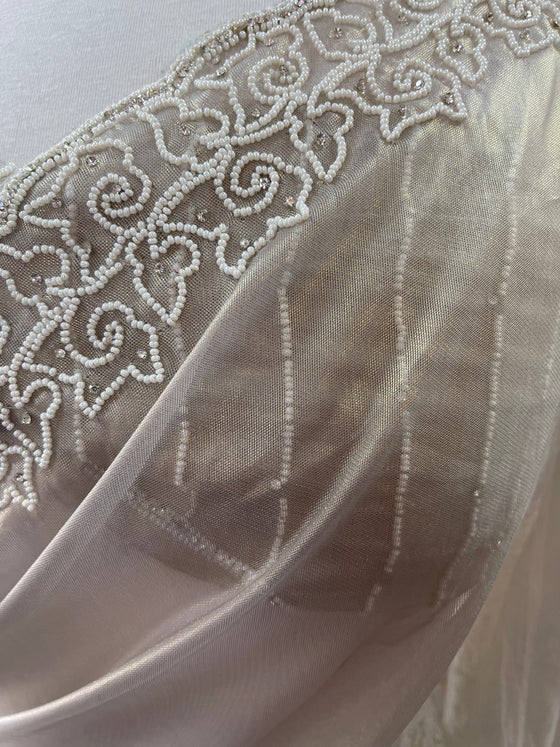 Nude Organza Tissue Sari