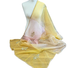  Pastel Ombre Organza Dupatta